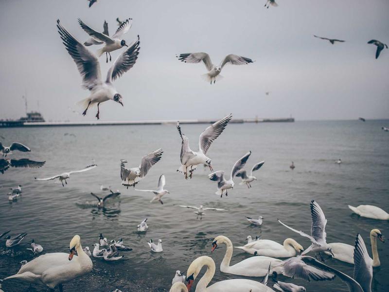 sudoku new features screenshot 2